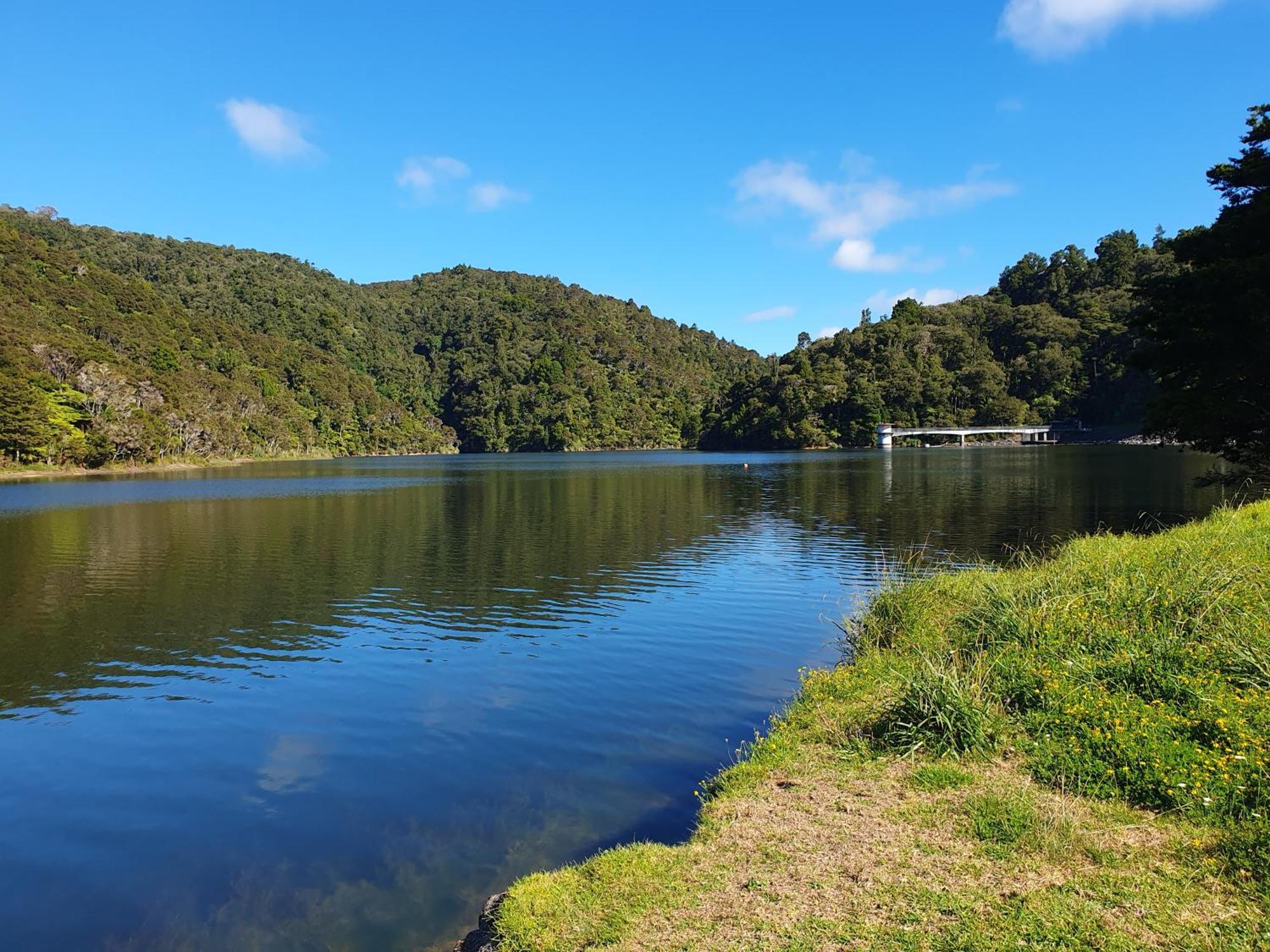 Quiet. Comfy Oasis In Whangarei Exteriör bild